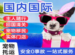 九寨黄龙航空空运国际宠物托运 【国